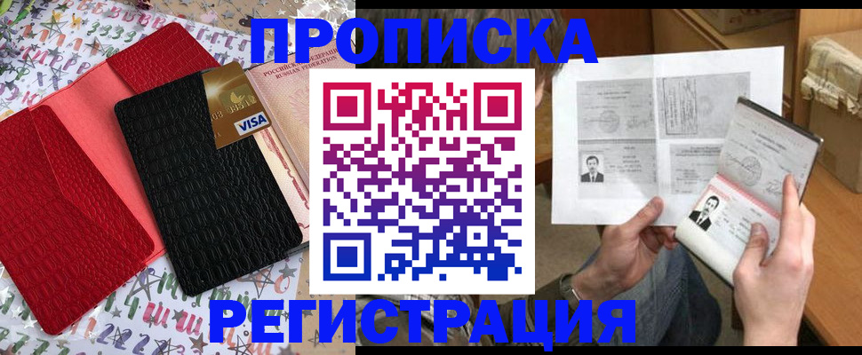 прописка поиск в Камчатском крае